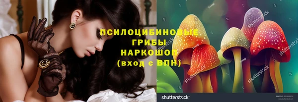 ешки Алзамай