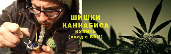 гидра Аркадак