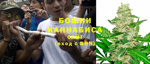 крисы Арсеньев