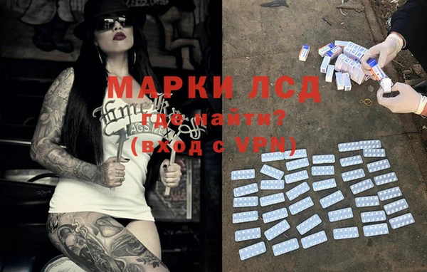 гидра Аркадак