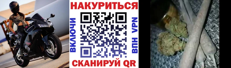 где найти   Строитель  Конопля планчик 